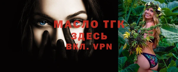 гидра Михайловка