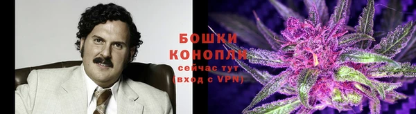 гидра Михайловка