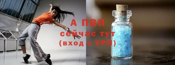 гидра Михайловка