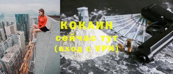 apvp Михайлов