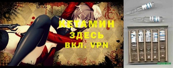гидра Михайловка