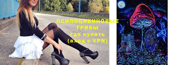 apvp Михайлов