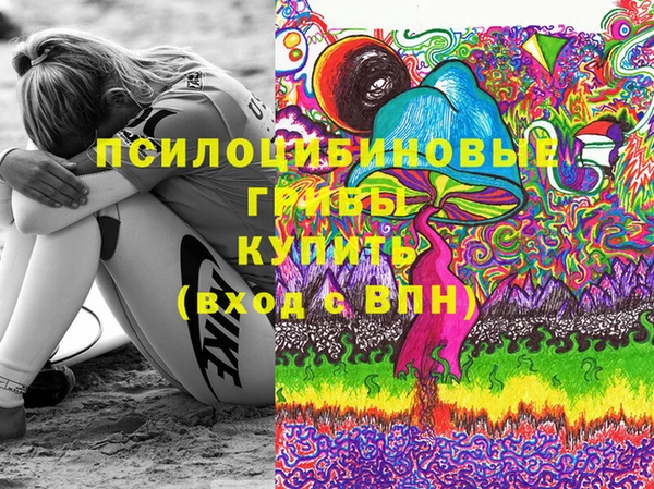 apvp Михайлов